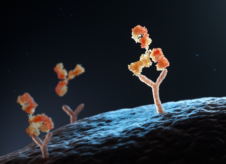 Fig.1 http://47.109.42.40:8006/images/a571d710d35123be51a790c25ab82966.jpg. (Creative Biolabs Authorized)