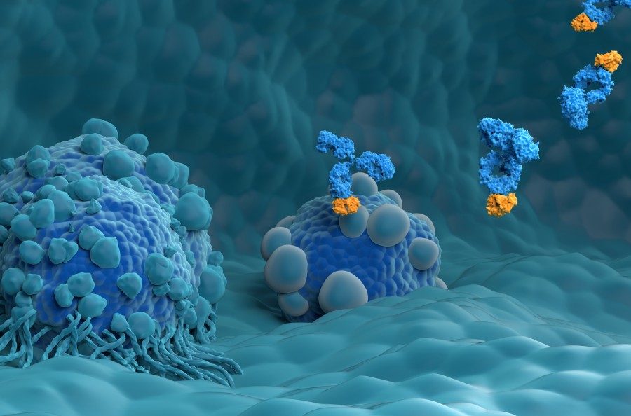 Fig 1. Picture showing antibodies as therapeutic agents. (Creative Biolabs Original).