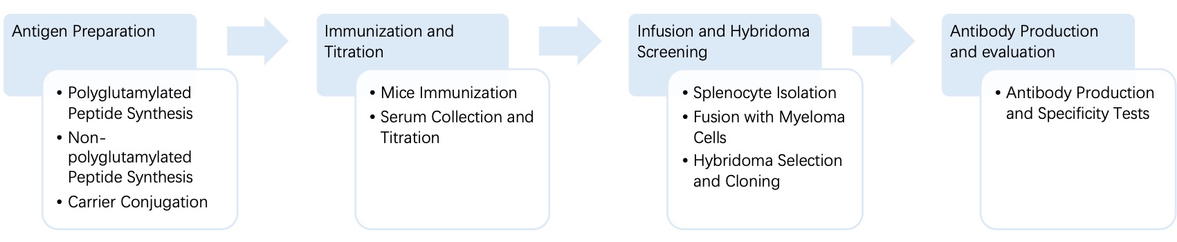 Fig. 4 General process of hybridoma for anti-polyglutamylation monoclonal antibody discovery. (Creative Biolabs Original)
