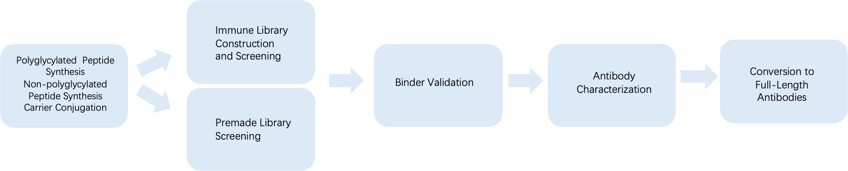 Fig. 3 General process of phage display for anti-polyglycination monoclonal antibody discovery. (Creative Biolabs Original)