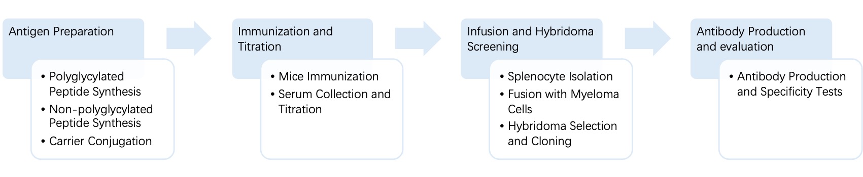 Fig. 4 General process of hybridoma for anti-polyglycination monoclonal antibody discovery. (Creative Biolabs Original)