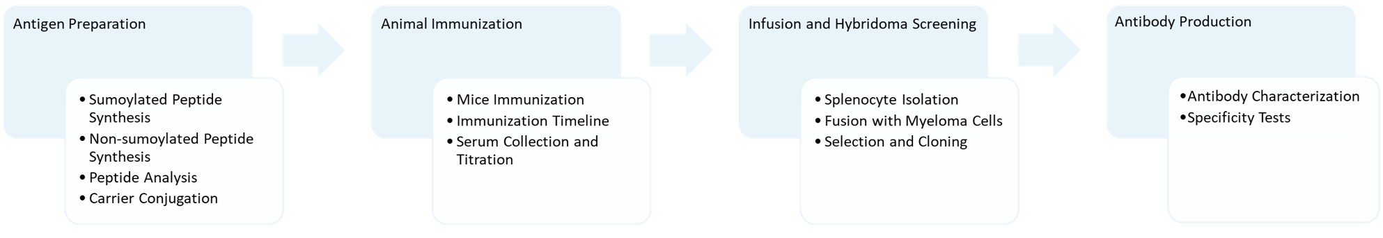 Workflow of hybridoma for anti-sumoylation monoclonal antibody discovery. (Creative Biolabs Original)