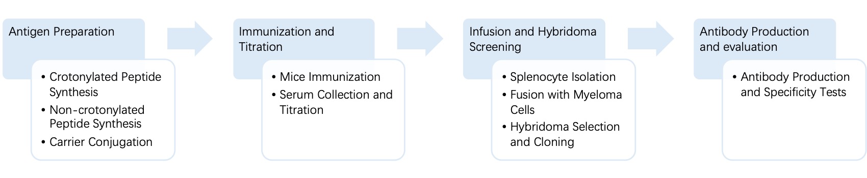 Fig. 4 General process of hybridoma for anti-crotonylation monoclonal antibody discovery. (Creative Biolabs Original).