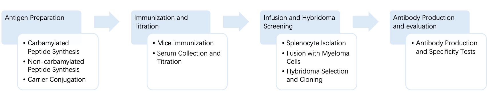 Fig. 4 General process of hybridoma for anti-carbamylation monoclonal antibody discovery. (Creative Biolabs Original)