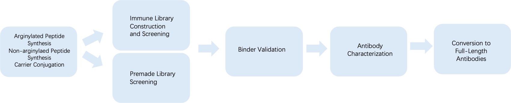 Fig. 3 General process of phage display for anti-arginylation monoclonal antibody discovery. (Creative Biolabs Original)