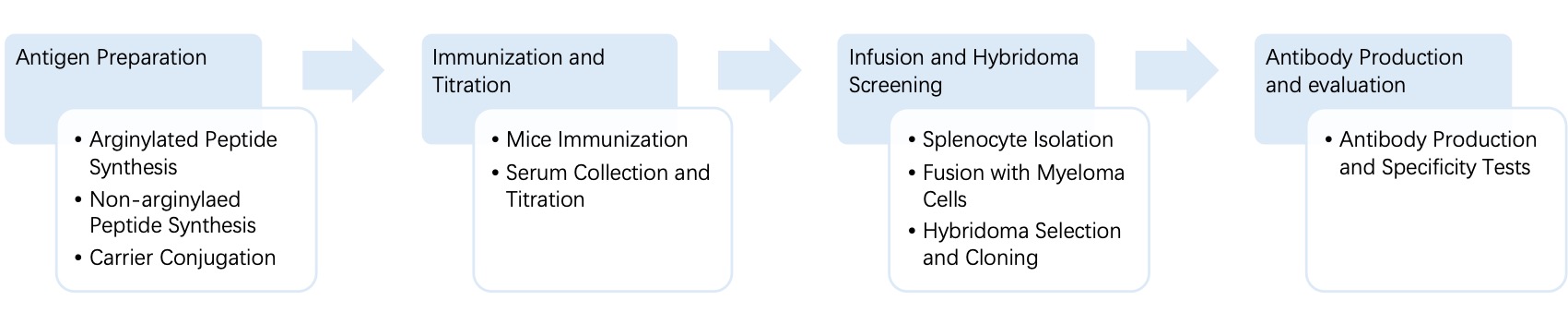 Fig. 4 General process of hybridoma for anti- arginylation monoclonal antibody discovery. (Creative Biolabs Original)
