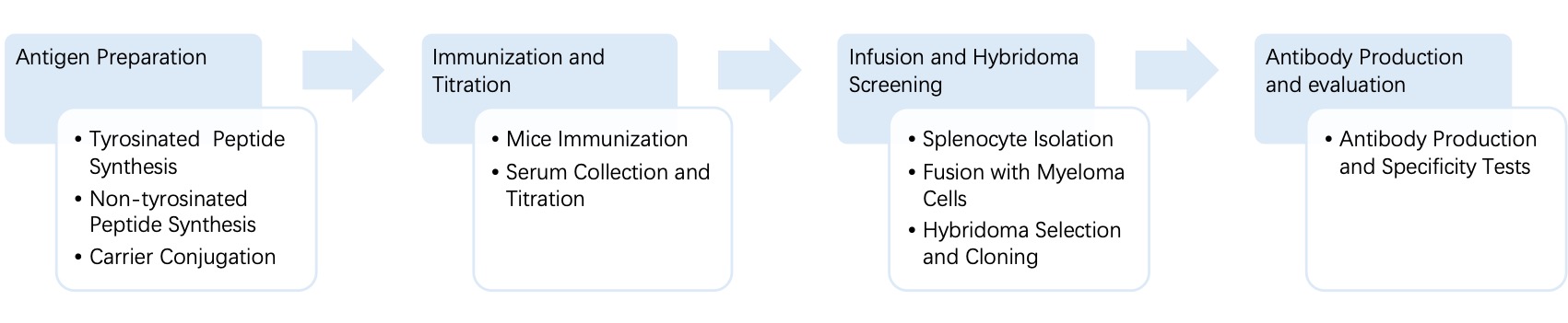 Fig. 4 General process of hybridoma for anti-tyrosination monoclonal antibody discovery. (Creative Biolabs Original)