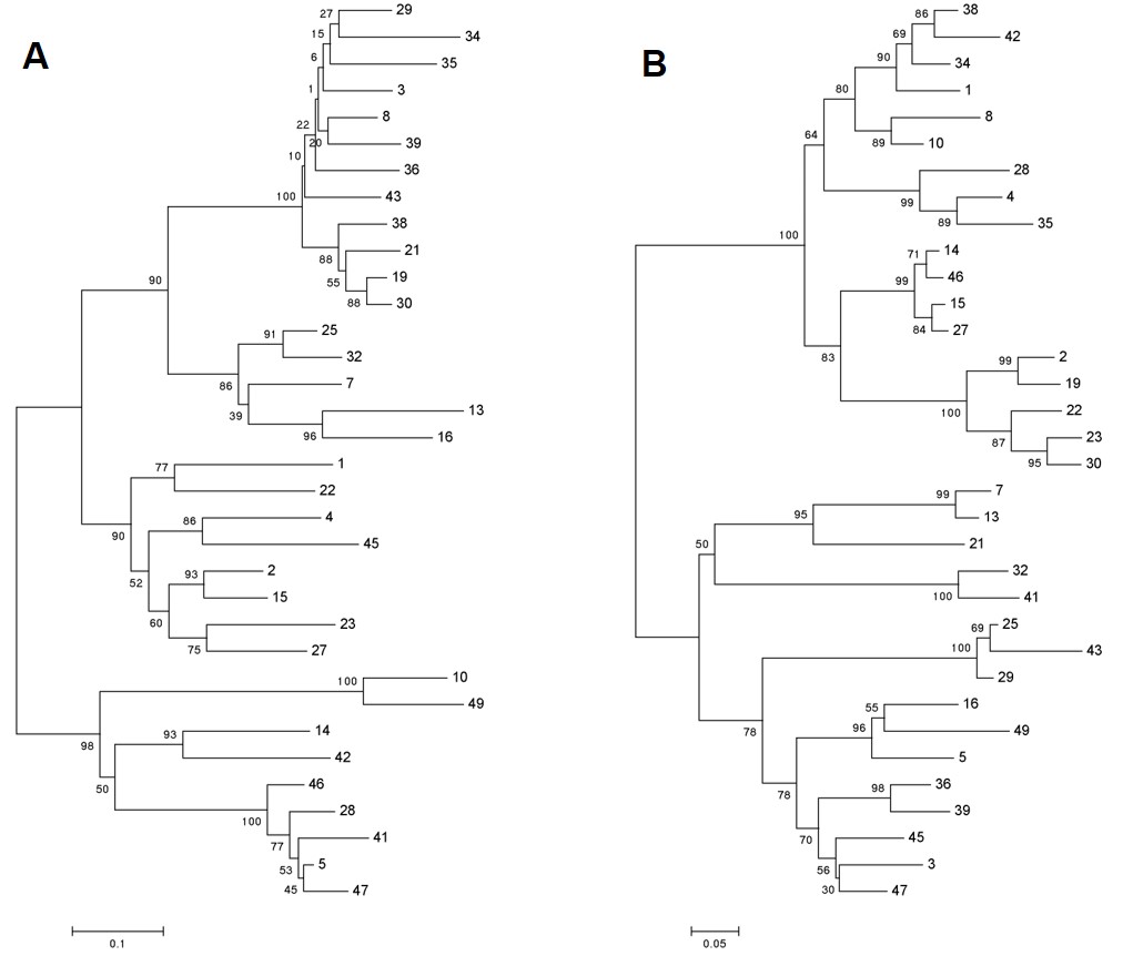 Fig 5. Graph depicting the diversity of HuScL-7 library. (Creative Biolabs Original).