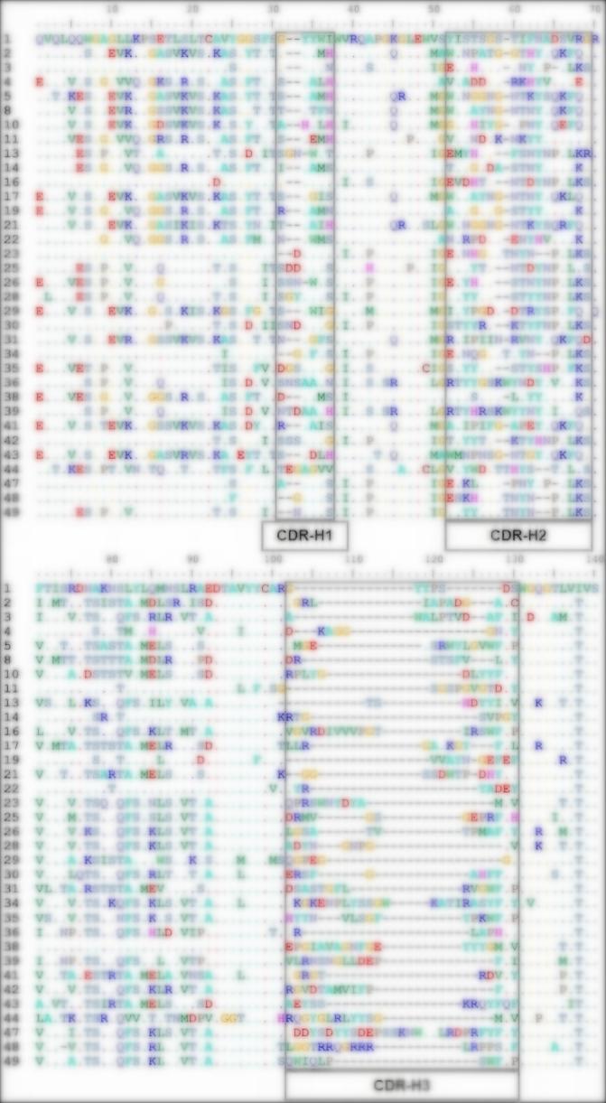 Fig 3. Graph depicting the sequencing results-1 of HuFabL-5 library. (Creative Biolabs Original).