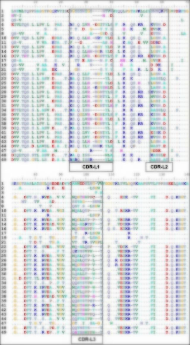 Fig 4. Graph depicting the sequencing results-2 of HuFabL-5 library. (Creative Biolabs Original).