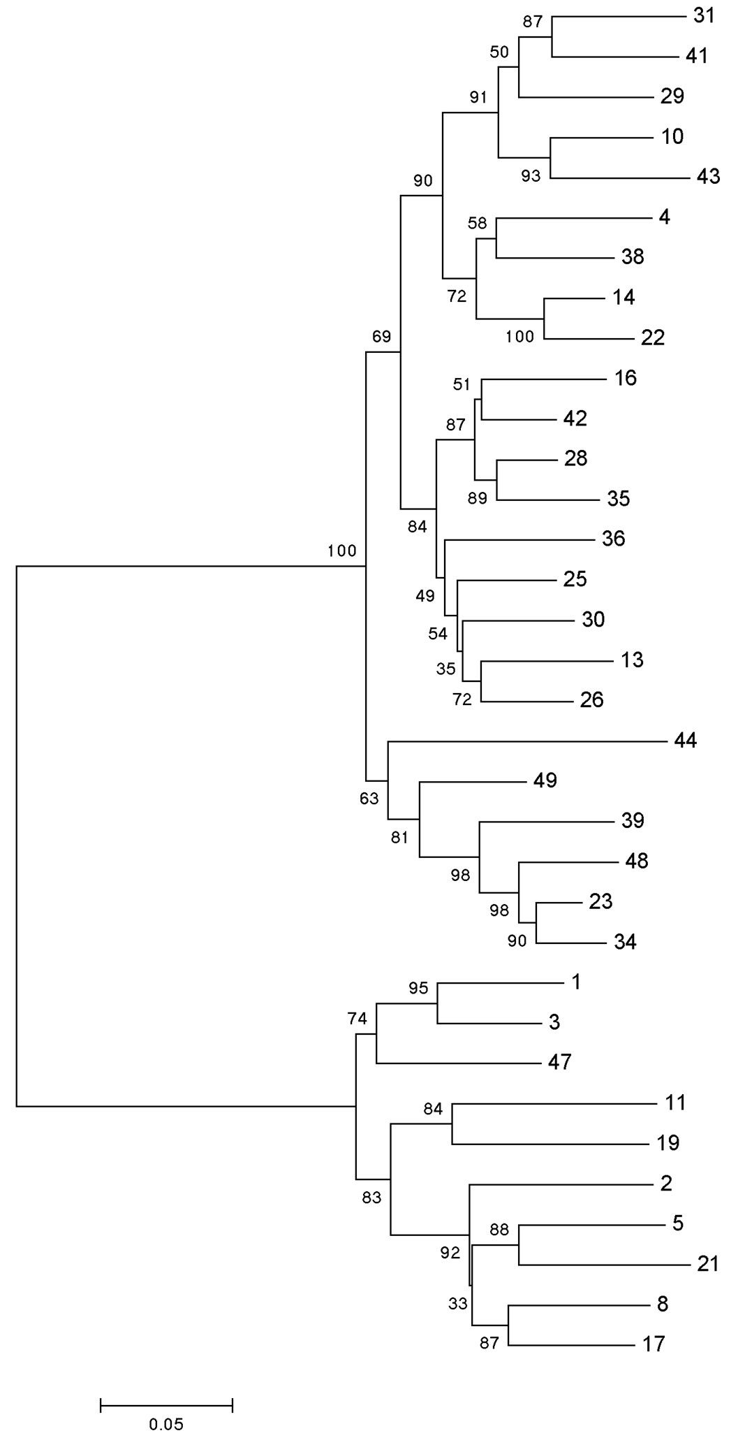 Fig 5. Graph depicting the diversity of HuFabL-5 library. (Creative Biolabs Original).