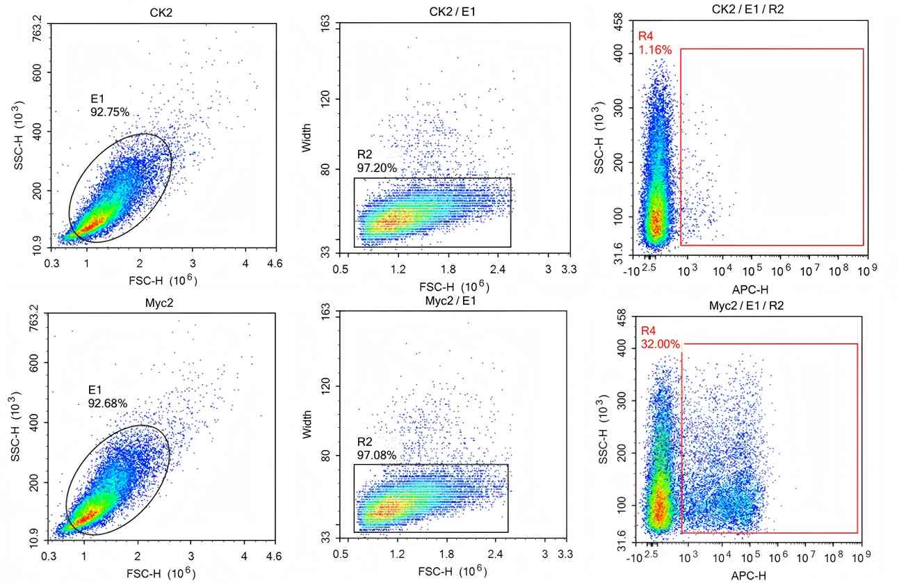 Fig 4. Graph depicting the display efficiency of HuscL-YDP-3 library. (Creative Biolabs Original).