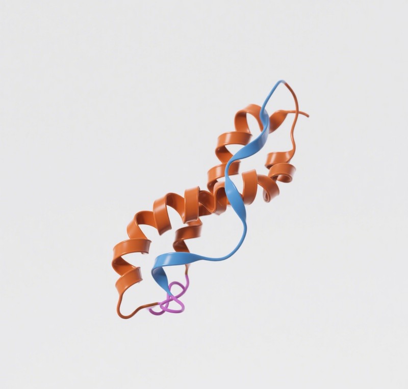 Fig.1 A monoclonal antibody. (Creative Biolabs AI)