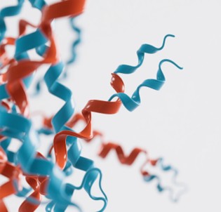Fig.2 The ScFv/Fab fragment. (Creative Biolabs AI)