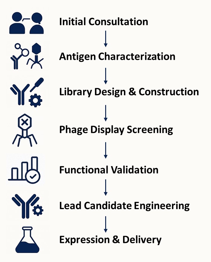 Fig.1 Discovery Process. (Creative Biolabs AI).