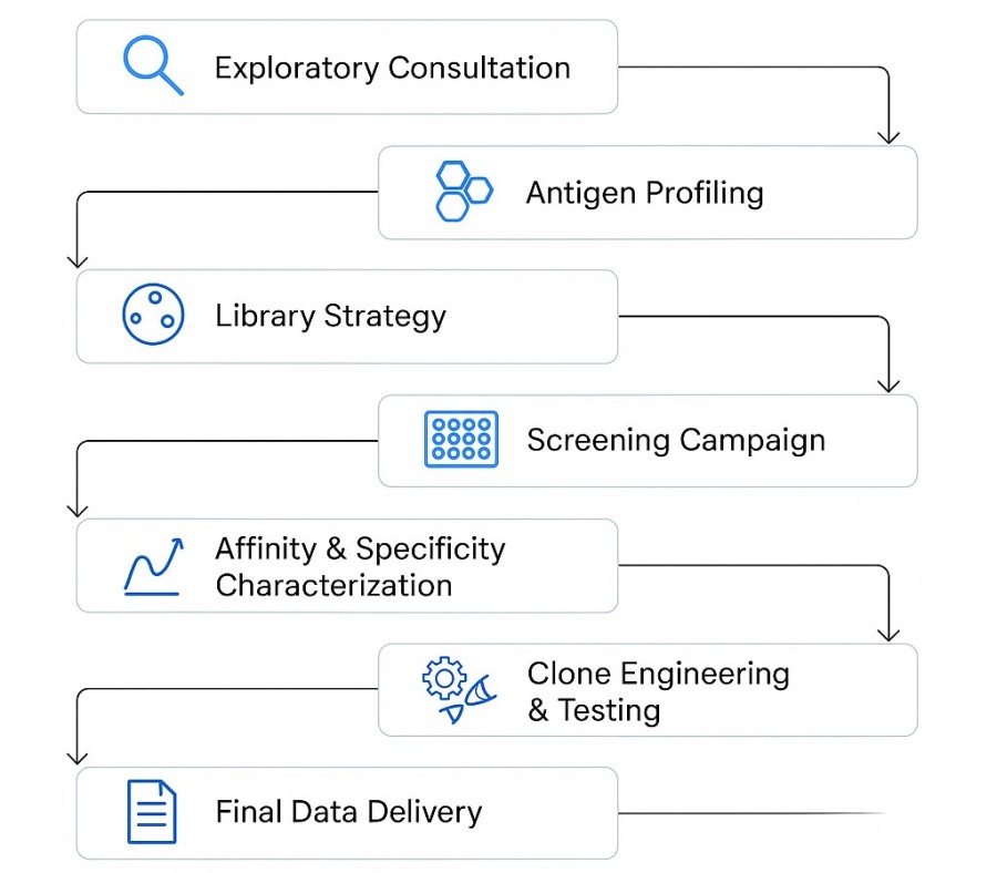 Fig.1 Our Journey: Sequential Process. (Creative Biolabs AI).