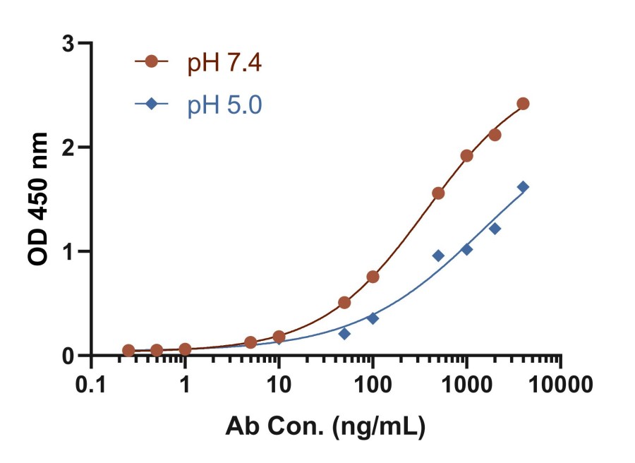 Fig.2 Case for pH-sensitive scFv antibody. (Creative Biolabs Original).