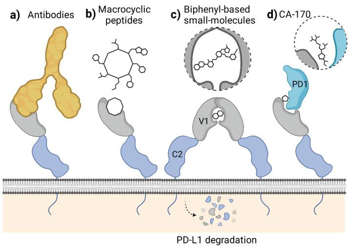 Schematic of PD-1/PD-L1 blocking mechanism.