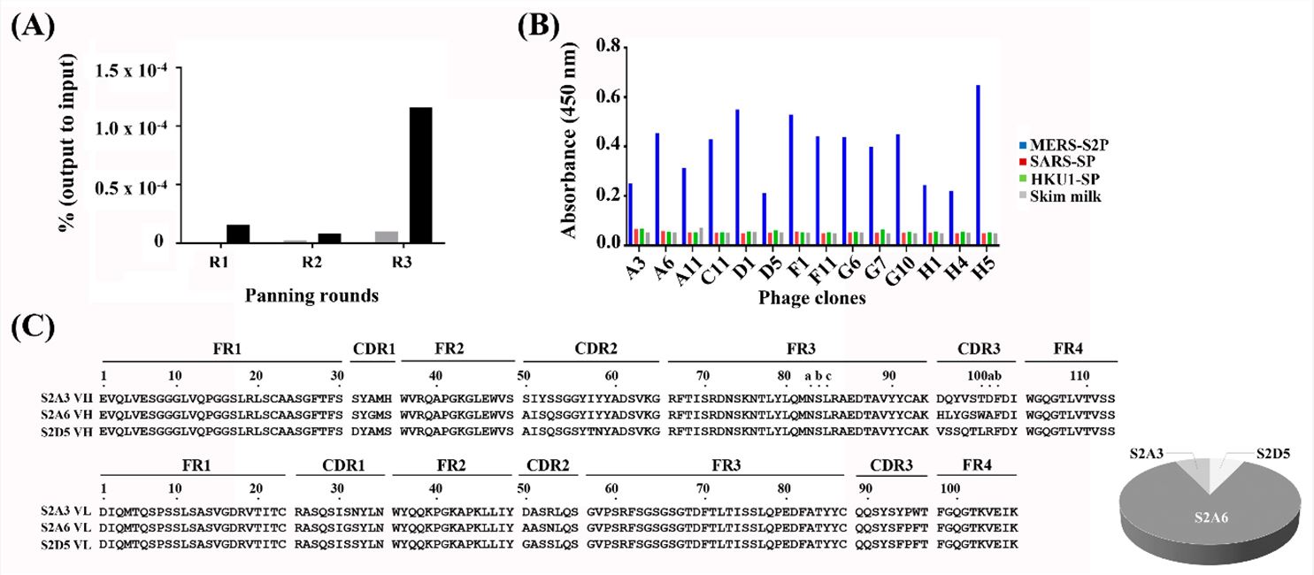 Panning of the phage-displayed synthetic Fab library on MERS-S2P.