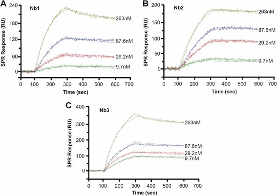 SPRi binding analysis. 