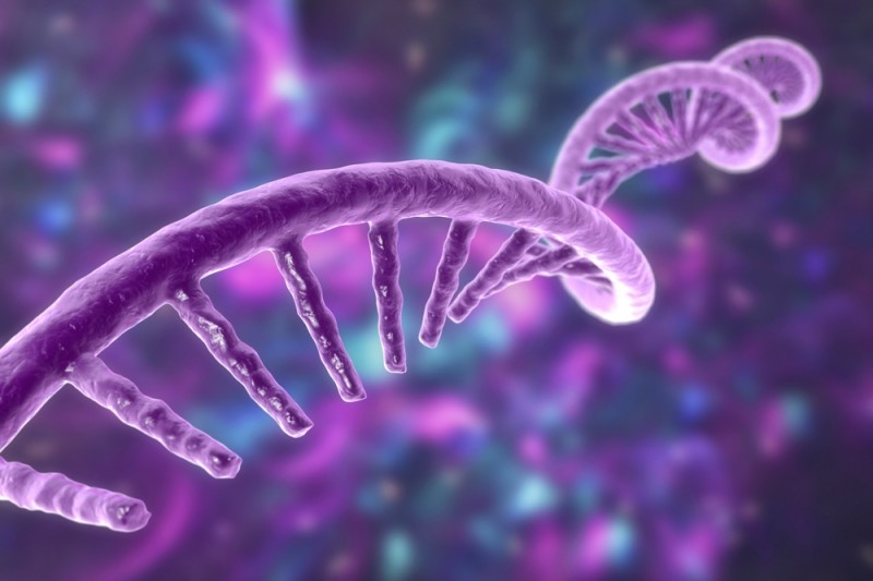 Fig.1 (Creative Biolabs Authorized)