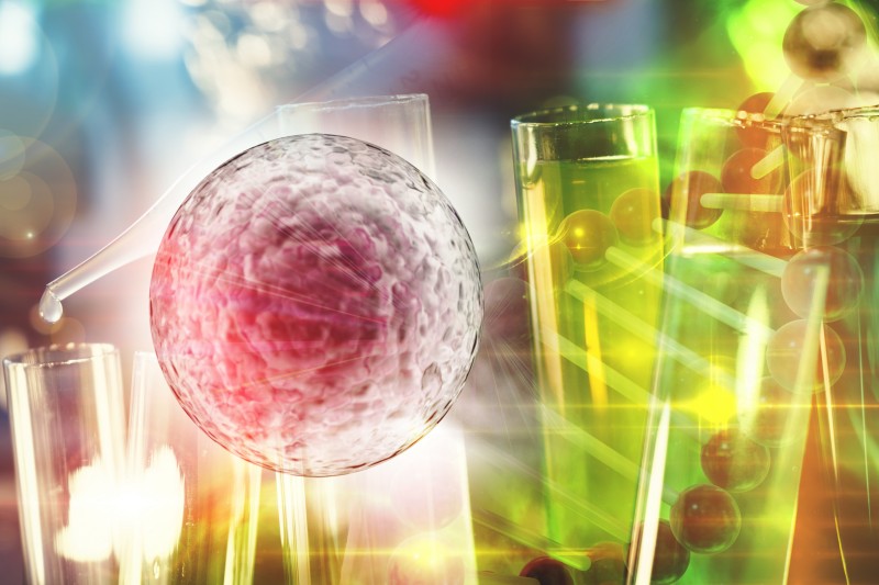 Fig.4 http://47.109.42.40:8006/images/cce4f84aa6eb5c38a30d40806f372265.jpg. (Creative Biolabs Authorized)