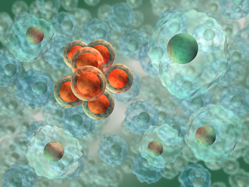 Fig.1 http://47.109.42.40:8006/images/20200102144353_7435.jpg. (Creative Biolabs Authorized)