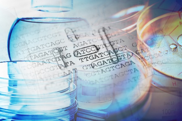 Fig.2 http://47.109.42.40:8006/images/20f307575ab0f26a39ef0a366fe05432.jpg. (Creative Biolabs Authorized)