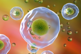 Fig.1 http://47.109.42.40:8006/images/20180710235143_7334.jpg. (Creative Biolabs Authorized)