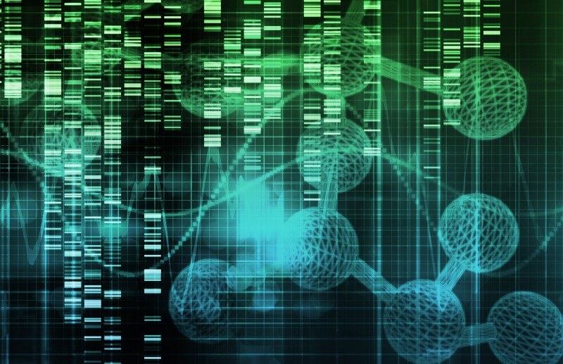 Fig.2 http://47.109.42.40:8006/images/20180710234051_9511.jpg. (Creative Biolabs Authorized)