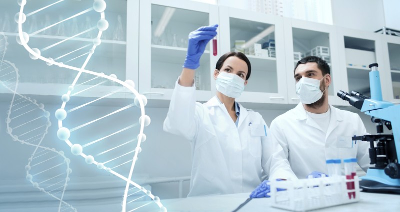 Fig.3 http://47.109.42.40:8006/images/20180711045246_6975.jpg. (Creative Biolabs Authorized)