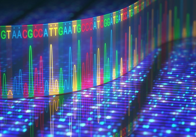 Fig.2 http://47.109.42.40:8006/images/20180710233830_6630.jpg. (Creative Biolabs Authorized)