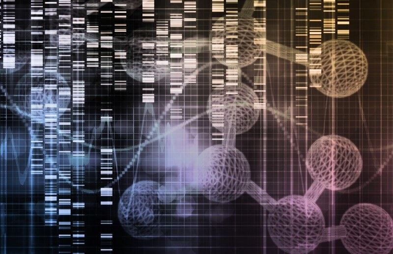 Fig.1 http://47.109.42.40:8006/images/20180711041652_5213.jpg. (Creative Biolabs Authorized)