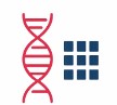 Fig.5 Sequencing Library Preparation. (Creative Biolabs AI)