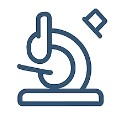 Fig.2 T Cell Isolation. (Creative Biolabs AI)