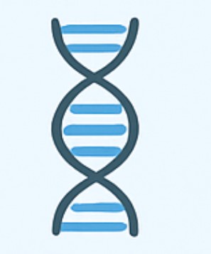2-3-2-2-7-tcr-gammadelta-repertoire-profiling-1.