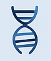 Fig.3 Nucleic Acid Extraction. (Creative Biolabs AI)