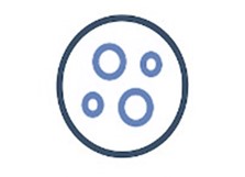 Fig.2 T Cell Enrichment. (Creative Biolabs AI)