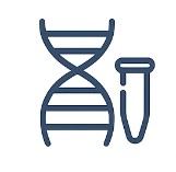 Fig.4 Library Preparation. (Creative Biolabs AI)