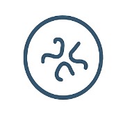 Fig.3 Library Preparation. (Creative Biolabs AI)