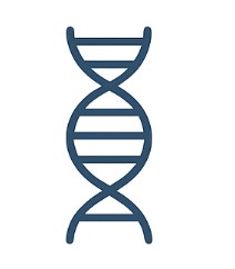 Fig.2 RNA/DNA Extraction. (Creative Biolabs AI)