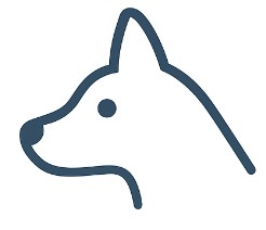 Fig.2 Characterizing the TCR repertoire in domestic dogs. (Creative Biolabs AI)