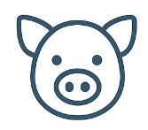 Fig.4 Profiling the TCR repertoire in pigs. (Creative Biolabs AI)