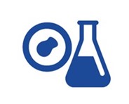 Fig.2 Library Preparation. (Creative Biolabs AI)