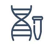 Fig.3 Library Preparation. (Creative Biolabs AI)