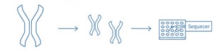 Fig.7 Fab Profiling. (Creative Biolabs AI)