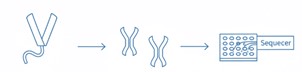 Fig.8 scFv Profiling. (Creative Biolabs AI)