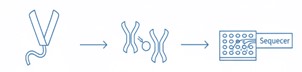 Fig.9 sdAb Profiling. (Creative Biolabs AI)