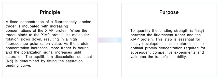 Tracer binding affinity assay at Creative Biolabs. (Creative Biolabs Original)