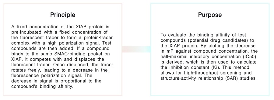 Compound competitive binding assay at Creative Biolabs. (Creative Biolabs Original)